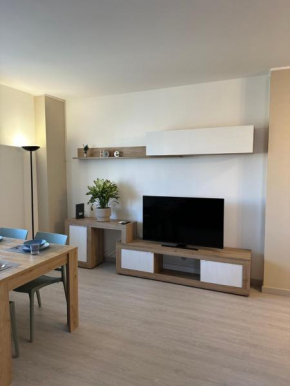 Luxury Apartment